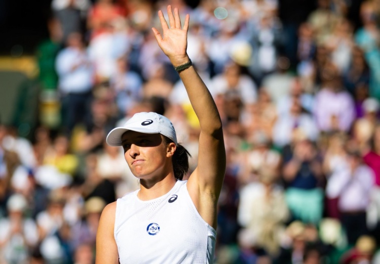 提出低价回 提出低价回